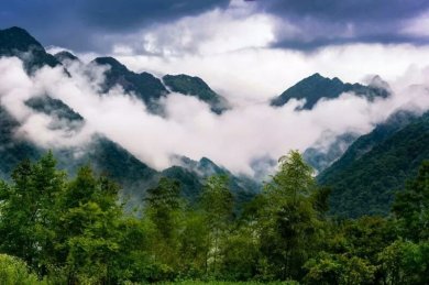 體道游学环境
